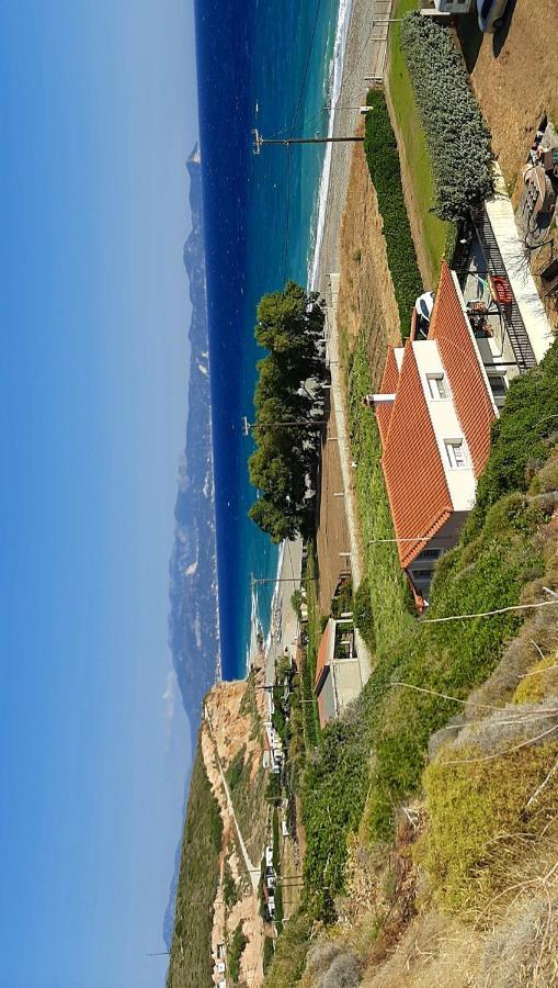Villa Dimitra Mourteri Zewnętrze zdjęcie