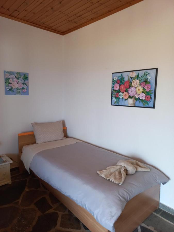 Villa Dimitra Mourteri Zewnętrze zdjęcie